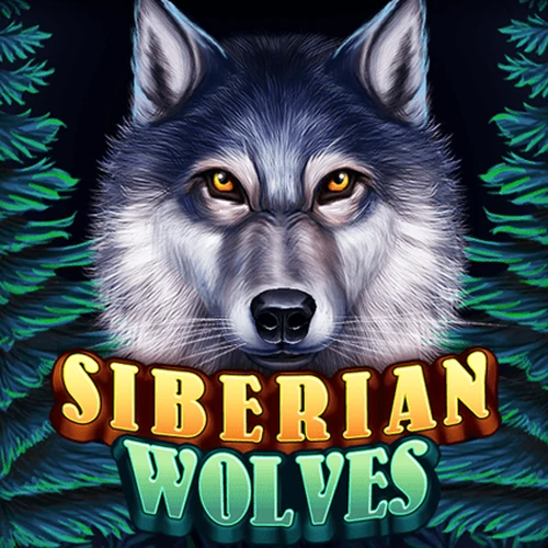 เกมสล็อต Siberian Wolves